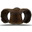 Medieval Leather Shorts