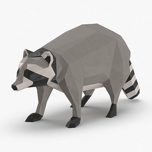 raccoon---standing 3D model