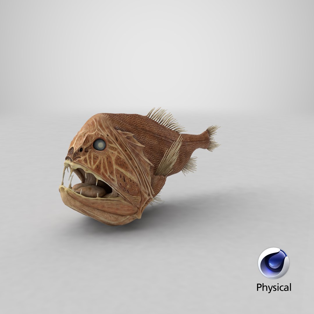 3ds fangtooth fish https://p.turbosquid.com/ts-thumb/s2/nKC0cf/8Q/stemcell_cinema_4d_physical_render/png/1679388893/1920x1080/fit_q87/9fec45cced4842a4e39354aba245d139d4bd6a1d/stemcell_cinema_4d_physical_render.jpg