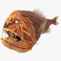 Fangtooth Fish