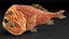 Fangtooth Fish