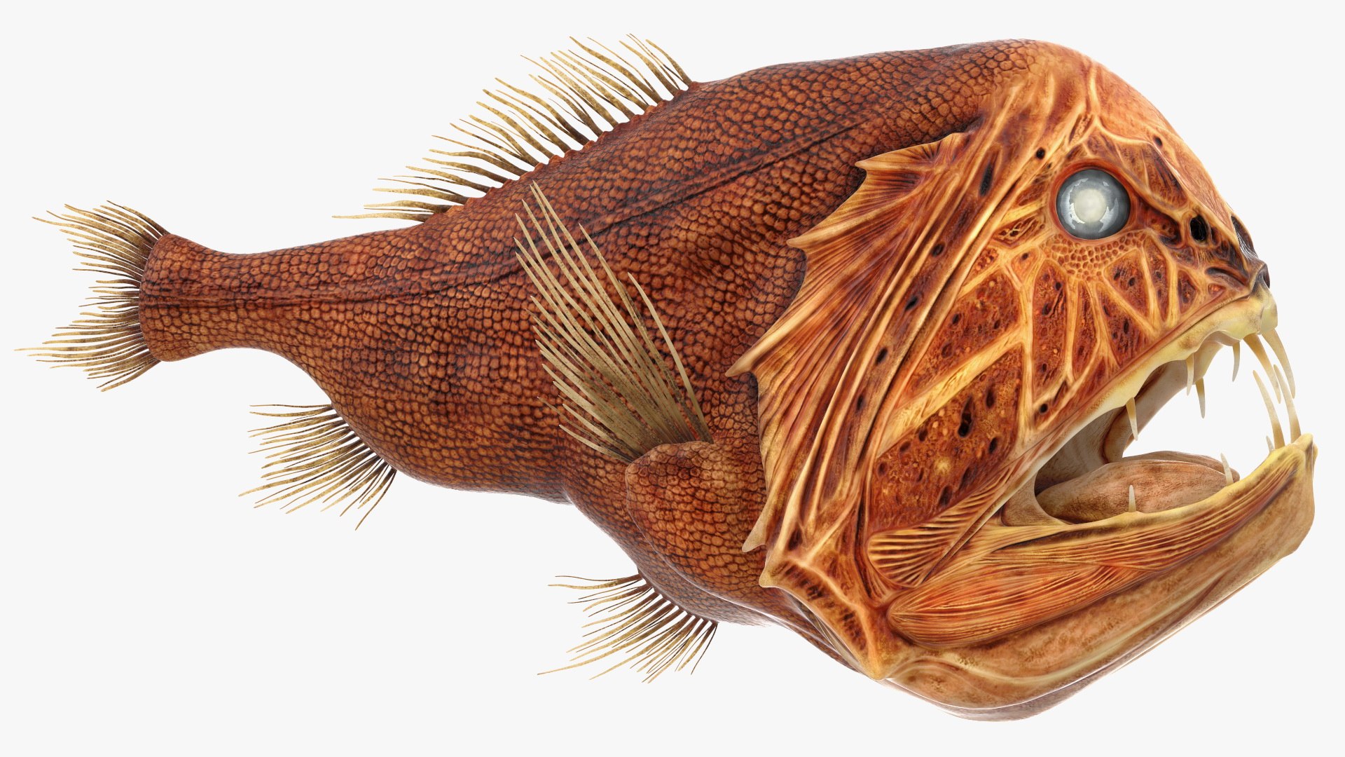 3ds fangtooth fish https://p.turbosquid.com/ts-thumb/s2/nKC0cf/Xc/fangtooth_fish_011/jpg/1635166814/1920x1080/fit_q87/e534e656d64ae68aa8a9043e3339d92ef630bb36/fangtooth_fish_011.jpg