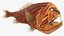 Fangtooth Fish
