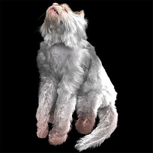 persian cat hair 3d model