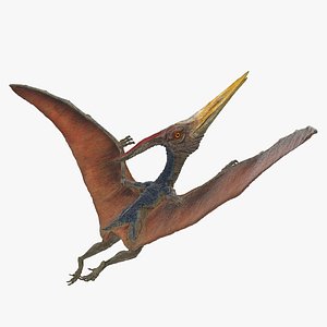 3D pteranodon rigged