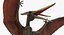 Pteranodon Rigged