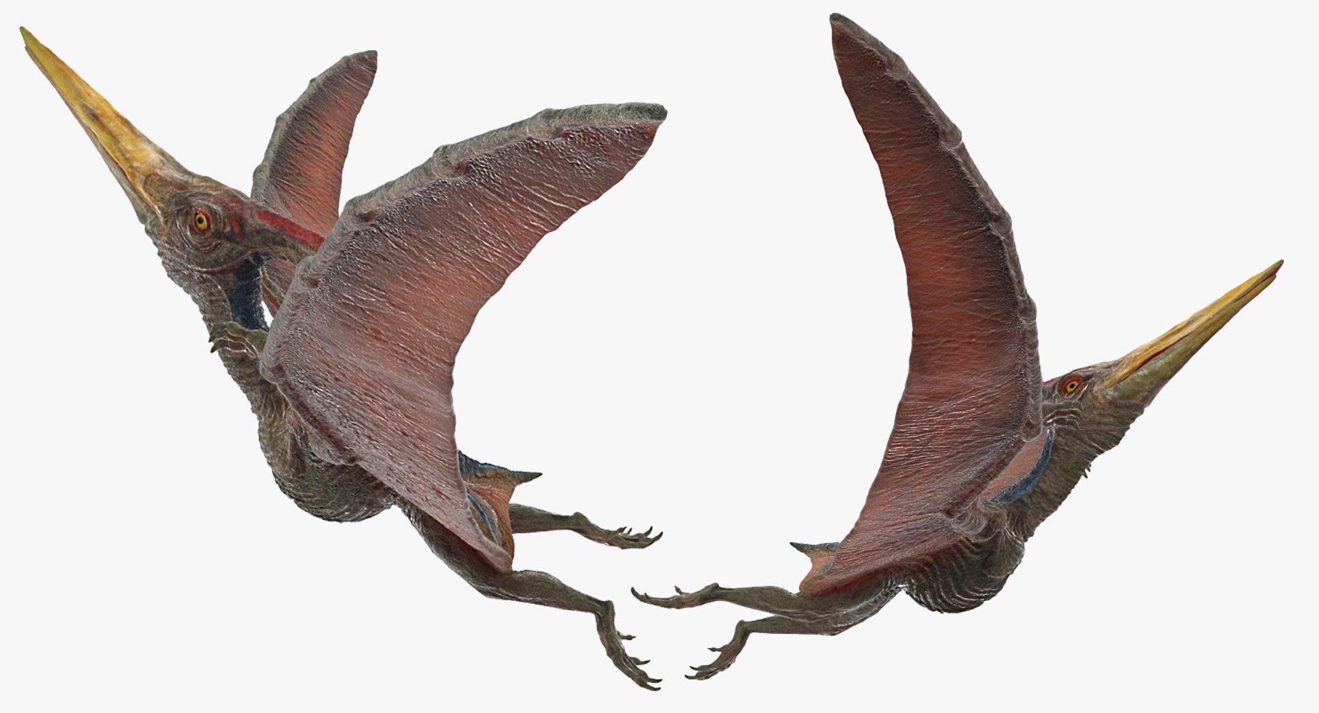3D pteranodon rigged https://p.turbosquid.com/ts-thumb/s3/86li43/GSd3wfkP/pteranodonriggedmb3dmodel010/jpg/1558393634/1920x1080/fit_q87/b9a25676069380664afed4bece1fa8c8daf9859b/pteranodonriggedmb3dmodel010.jpg