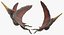 Pteranodon Rigged