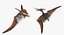 Pteranodon Rigged