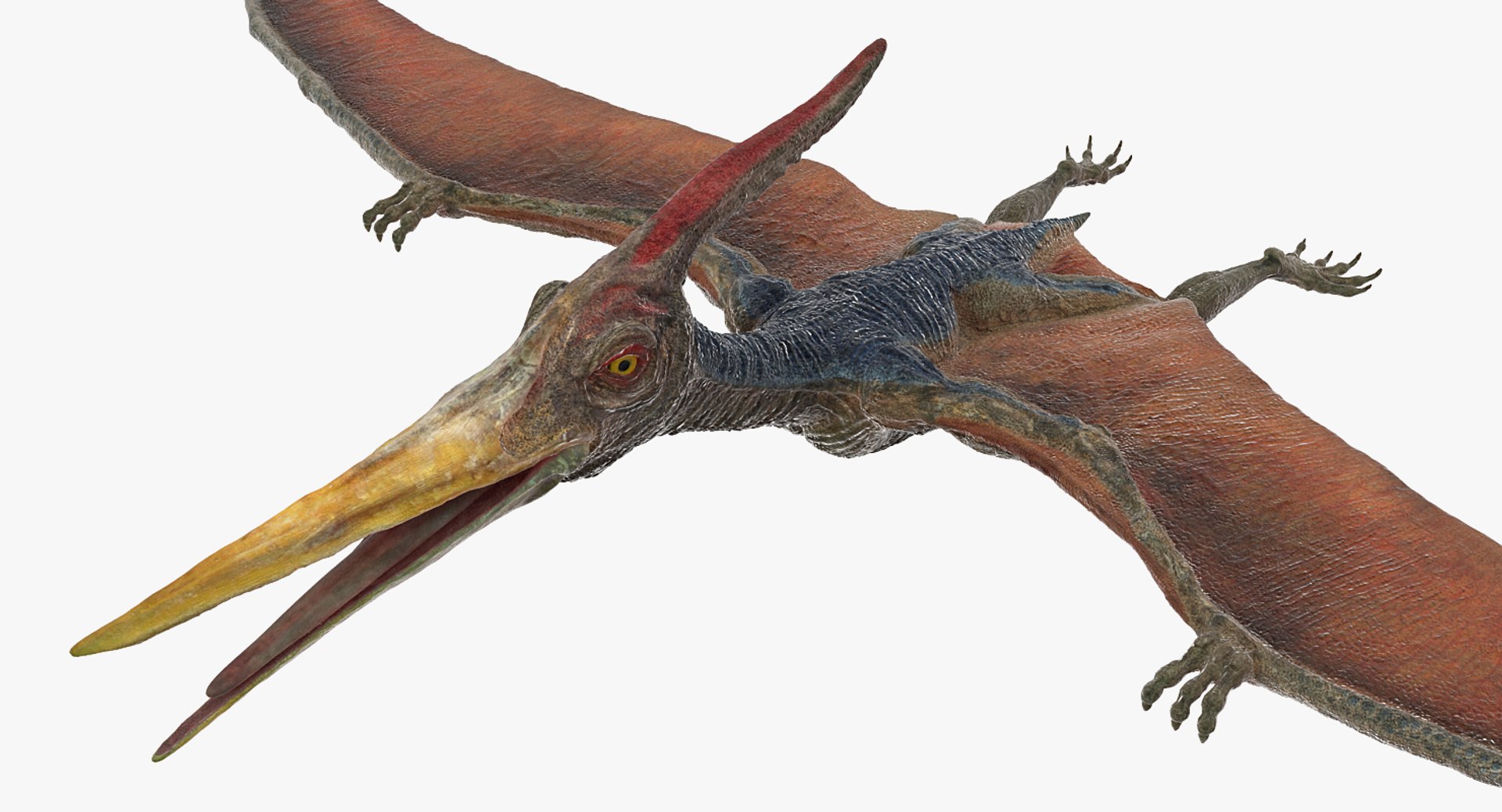 3D pteranodon rigged - TurboSquid 1408617