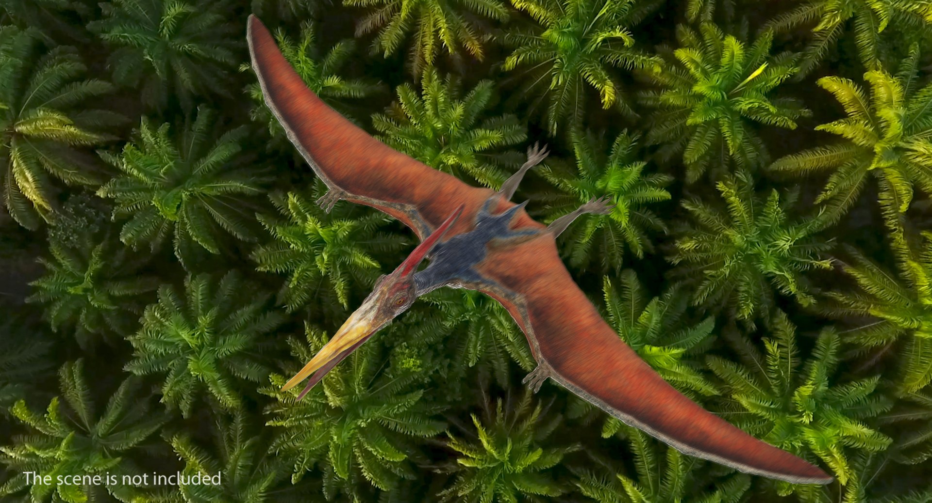 3D pteranodon rigged https://p.turbosquid.com/ts-thumb/s3/86li43/NUC6dA9N/pteranodonriggedmb3dmodel002/jpg/1558393602/1920x1080/fit_q87/9cd6e818e789ea048f6e5060955729b2e16d0939/pteranodonriggedmb3dmodel002.jpg