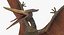 Pteranodon Rigged