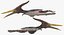 Pteranodon Rigged