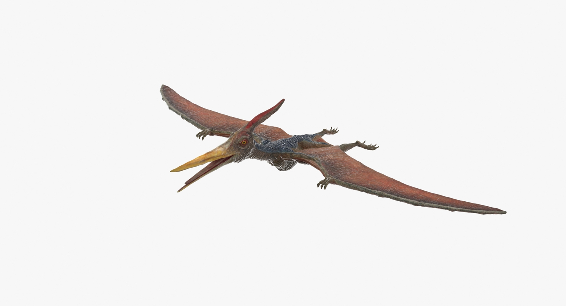 Pteranodon pterosaur white rigged 3D - TurboSquid 1479528