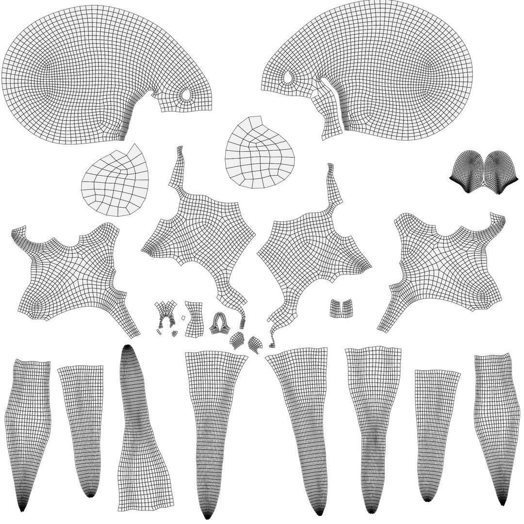 3D Model Octopus Anatomy - TurboSquid 2359280