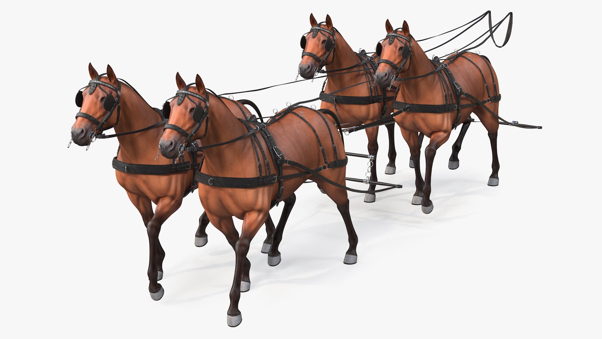 Team of Four Breast Collar Harness Walking Pose 3D model preview