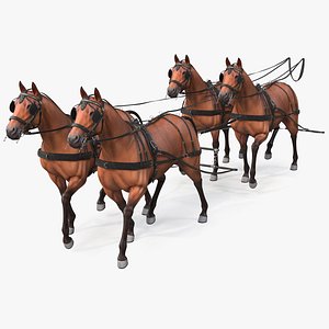 Team of Four Breast Collar Harness Walking Pose