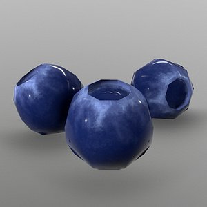 blueberry ready games 3D model