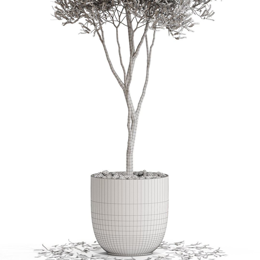 3D model Plants collection 674 https://p.turbosquid.com/ts-thumb/s3/wZnrhF/1L/plant_674_05.rgb_color/jpg/1651828496/1920x1080/fit_q87/f8d238efef5bc62343a53d29691ba9735cb0679f/plant_674_05.rgb_color.jpg