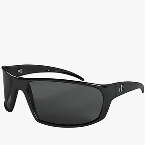 Sunglasses electric