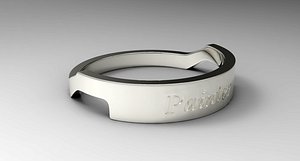 Painter Ring Female Silver 3D