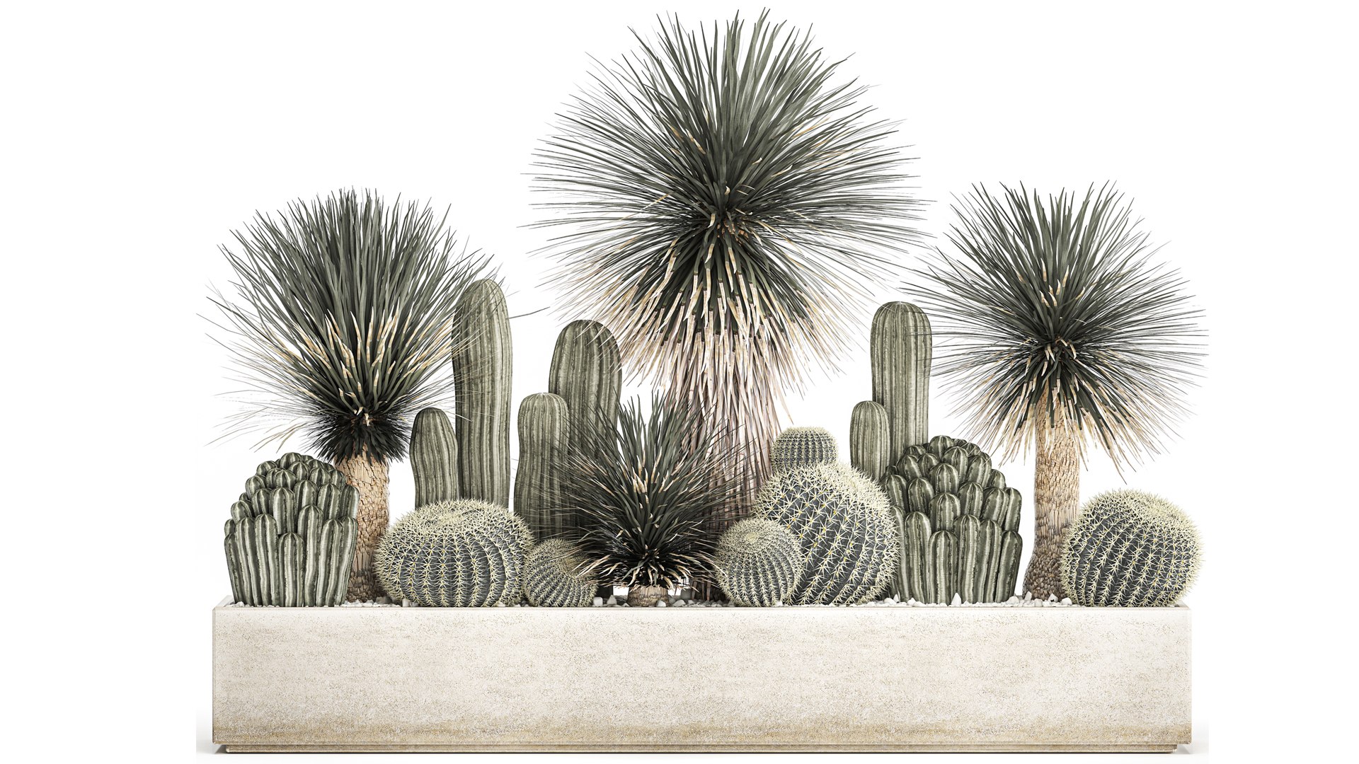 Cactus set in a concrete flowerpot for the interior 1099 3D model https://p.turbosquid.com/ts-thumb/s4/IlktND/CR/1cactusset1301202202/jpg/1642163500/1920x1080/fit_q87/73060d1cb7092bd77576c56448767327325846d0/1cactusset1301202202.jpg