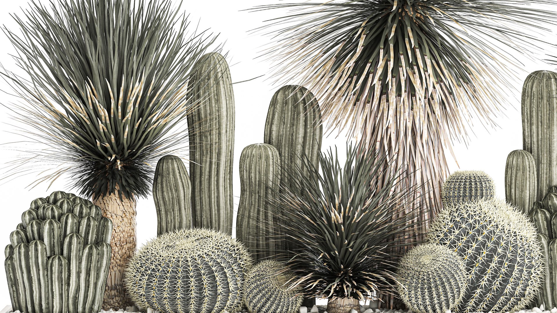 Cactus set in a concrete flowerpot for the interior 1099 3D model https://p.turbosquid.com/ts-thumb/s4/IlktND/Eq/1cactusset1301202204/jpg/1642163523/1920x1080/fit_q87/7995b89a536d65568aea28241319f553db467f59/1cactusset1301202204.jpg