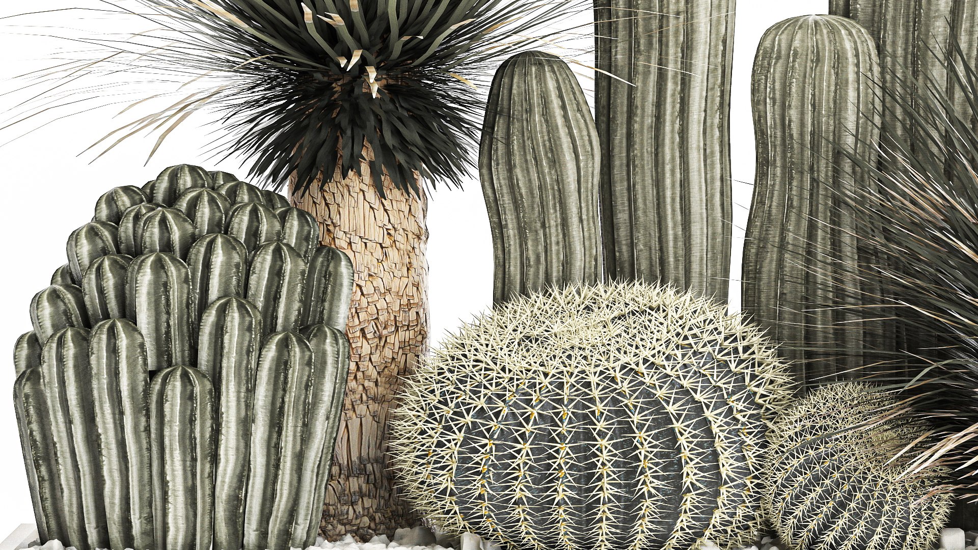 Cactus set in a concrete flowerpot for the interior 1099 3D model https://p.turbosquid.com/ts-thumb/s4/IlktND/Fe/1cactusset1301202206/jpg/1642163516/1920x1080/fit_q87/a3b9ced394831471d9ef2f9382e877e798f6c093/1cactusset1301202206.jpg