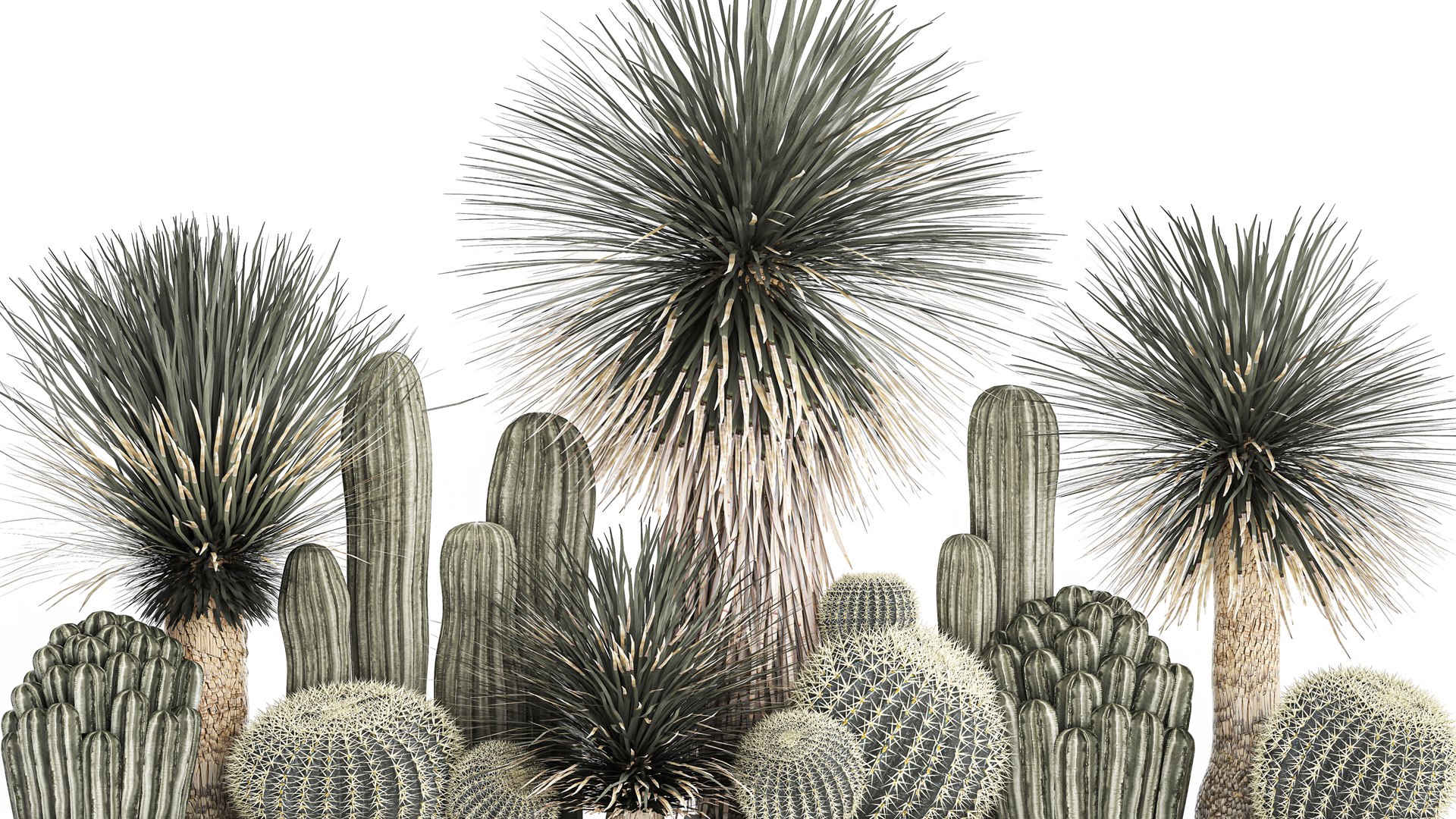 Cactus set in a concrete flowerpot for the interior 1099 3D model https://p.turbosquid.com/ts-thumb/s4/IlktND/MQ/1cactusset1301202203/jpg/1642163507/1920x1080/fit_q87/2950eac97ca09d1e384e43e186f3fcb3663b7a96/1cactusset1301202203.jpg