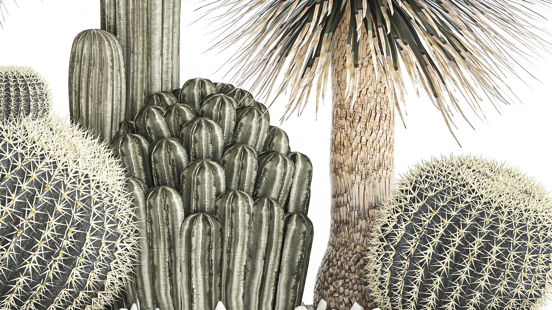 Cactus set in a concrete flowerpot for the interior 1099 3D model https://p.turbosquid.com/ts-thumb/s4/IlktND/pr/1cactusset1301202207/jpg/1642163515/1920x1080/fit_q87/32671b49550dd6ba16e7db8731969b52fa874a52/1cactusset1301202207.jpg