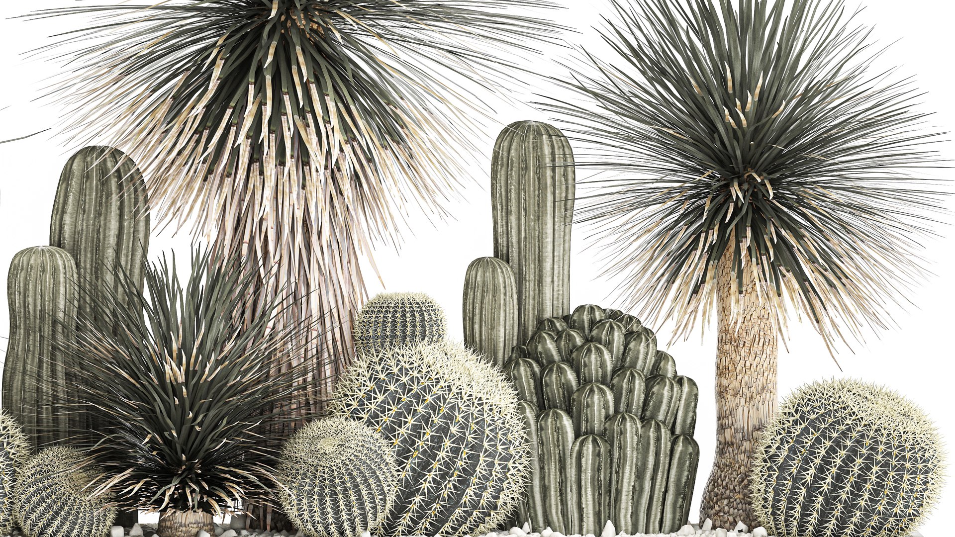 Cactus set in a concrete flowerpot for the interior 1099 3D model https://p.turbosquid.com/ts-thumb/s4/IlktND/up/1cactusset1301202205/jpg/1642163518/1920x1080/fit_q87/3282b78d1c2c2ff8f65f6558320ee72ea71733f1/1cactusset1301202205.jpg