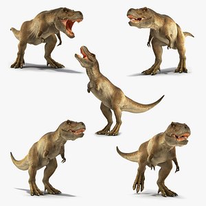 tyrannosaurus rex animal 3D model