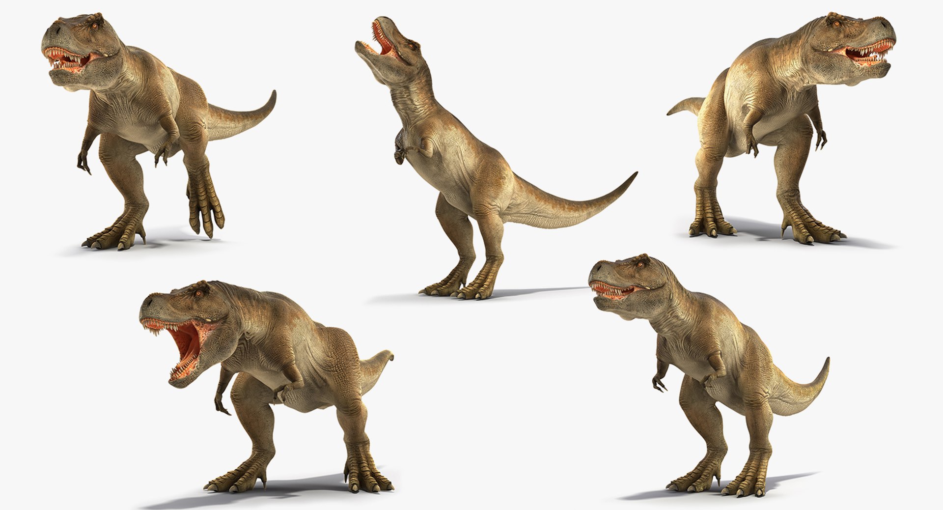 Animated Tyrannosaurus Rex Collection for Maya 3D model preview