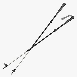 Hiking Poles Generic