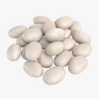 Navy Bean Pile