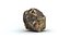 Flint Stone(1)(1)