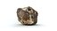 Flint Stone(1)(1)