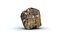 Flint Stone(1)(1)