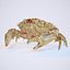 Rigged Crab Alien Crustacean