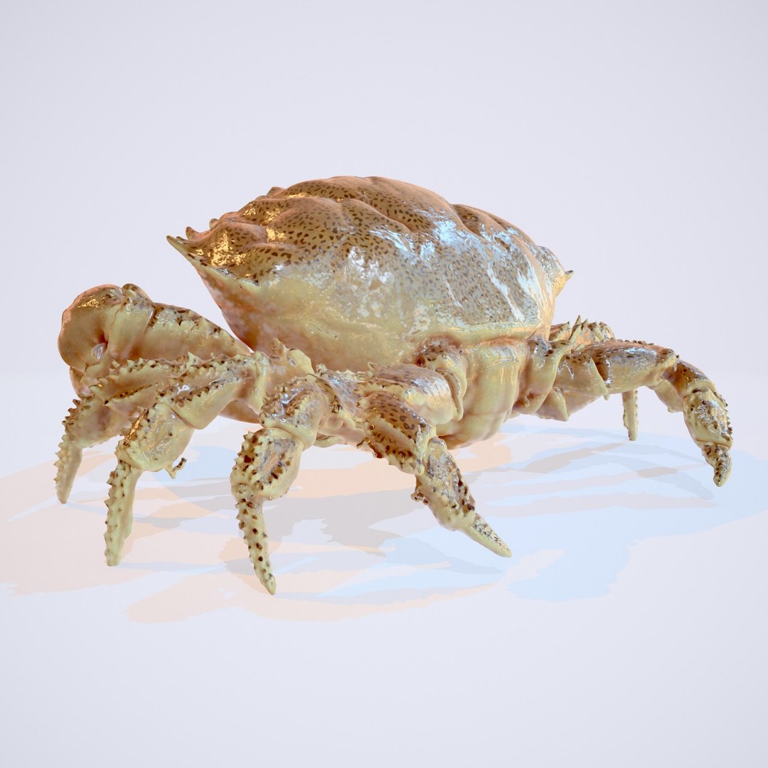 3d model of alien crab rigged https://p.turbosquid.com/ts-thumb/s4/sDHnuq/7dDkdG5Q/screenshot008/jpg/1471090573/1920x1080/fit_q87/7cc5842af37f3236a18ff1cfb2e15801943ad0fa/screenshot008.jpg