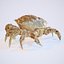 Rigged Crab Alien Crustacean