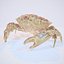 Rigged Crab Alien Crustacean
