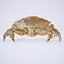 Rigged Crab Alien Crustacean