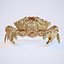 Rigged Crab Alien Crustacean