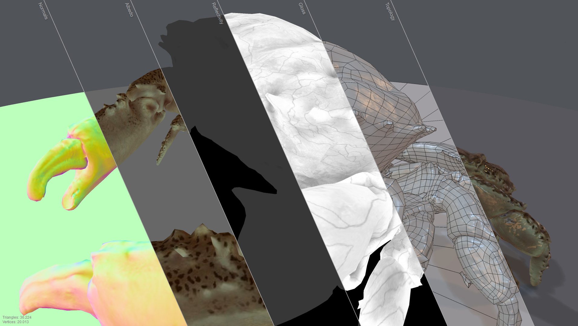 3d model of alien crab rigged https://p.turbosquid.com/ts-thumb/s4/sDHnuq/wVtkgkEj/overview/jpg/1471090573/1920x1080/fit_q87/fb90d60b21372df362d0db4bacefc3a291d46de4/overview.jpg