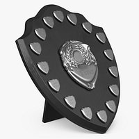 Institutional Desk Display Perpetual Shield