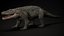 Extinct Mekosuchinae Quinkana
