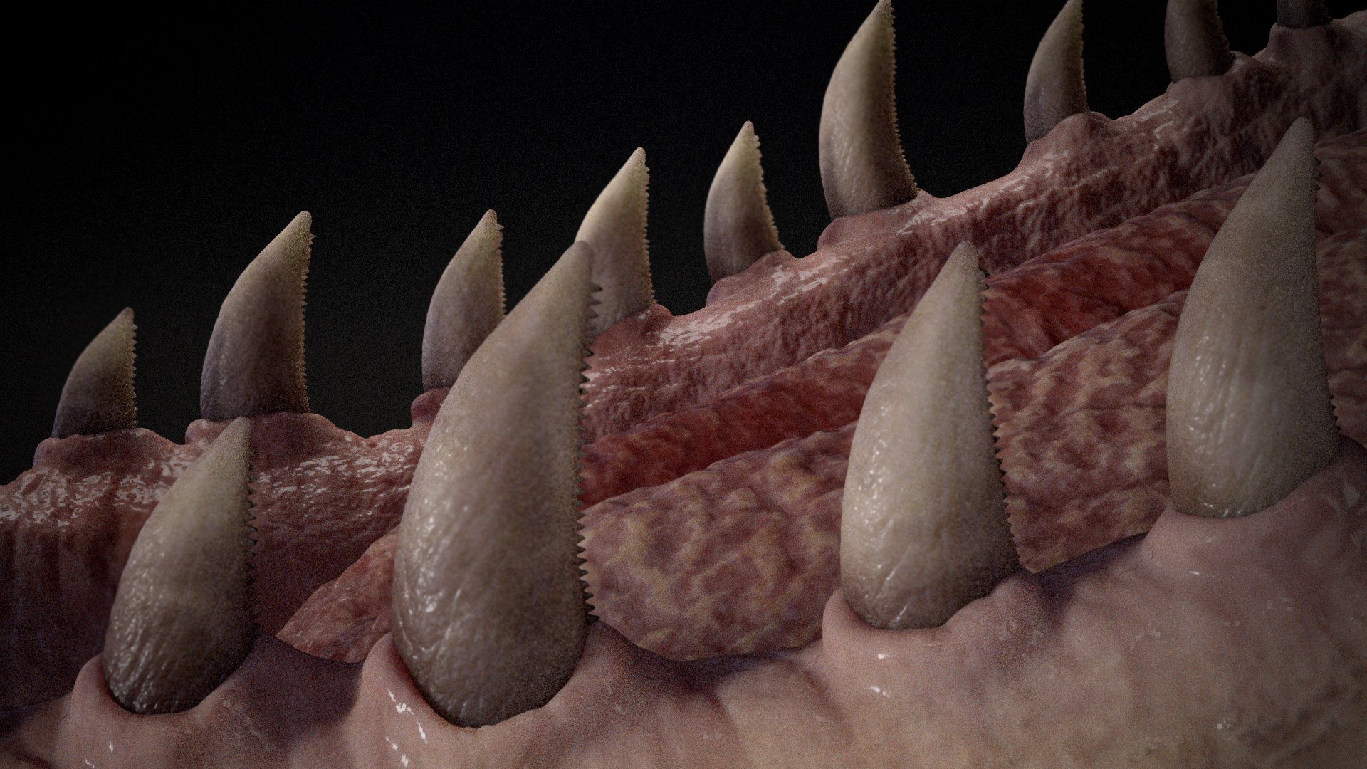 Extinct Mekosuchinae Quinkana 3D https://p.turbosquid.com/ts-thumb/s4/tva0Y1/dq/shot5copy/jpg/1734858511/1920x1080/fit_q87/24edb4818b5f4de2629ed65437c7debf62de11fc/shot5copy.jpg