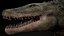 Extinct Mekosuchinae Quinkana