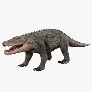 Extinct Mekosuchinae Quinkana 3D